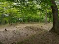 Thumbnail for version as of 18:38, 15 June 2025