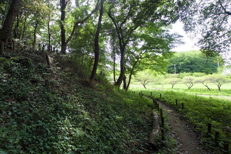File:Takai16.jpg