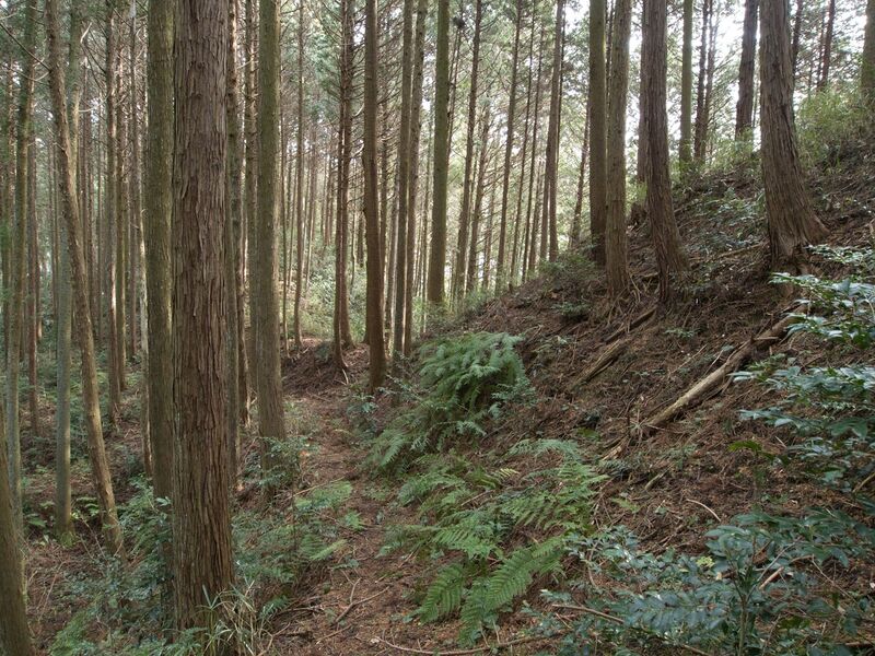 File:Wadashi1koka7.jpg