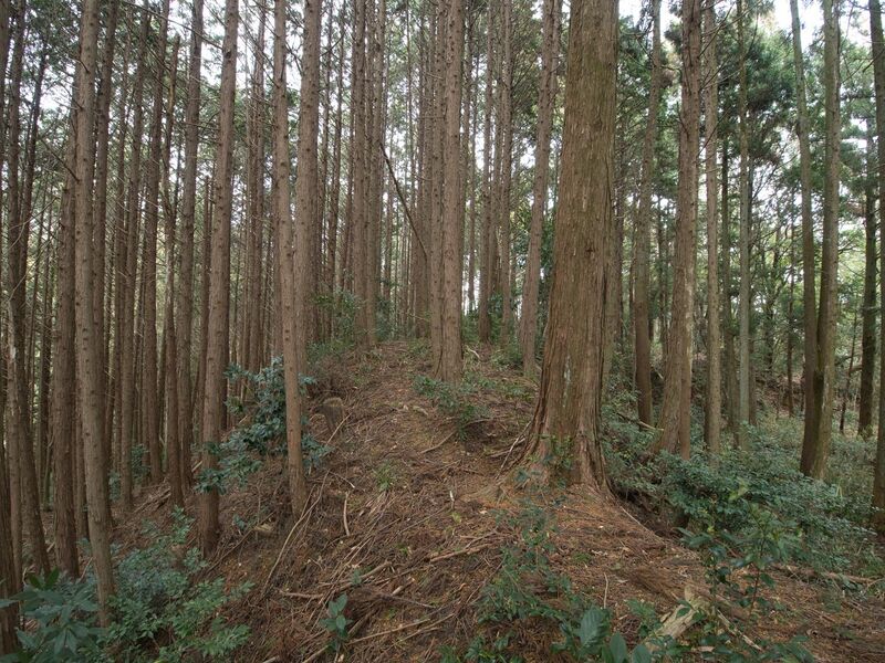 File:Wadashi2koka6.jpg