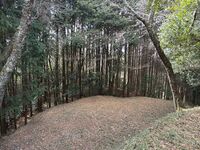 Yagyufurushiro15.jpg