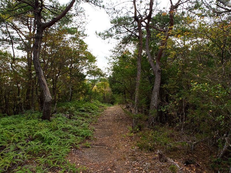 File:Yakamitanba50.jpg