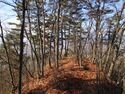 鴨ヶ嶽城 10.JPG
