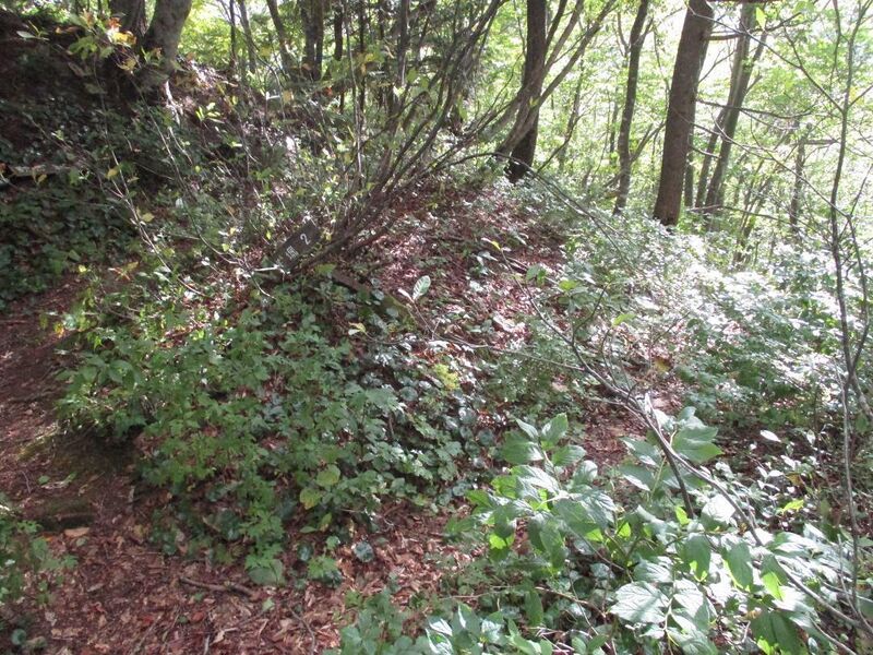 File:AzumiSarugajou (6).jpg