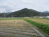 ChikumaYamazakiToride (3).JPG