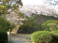 Fukuoka1.jpg