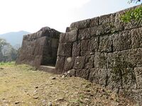 IMG 9637.JPG