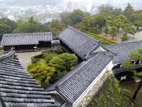 Kochi3.jpg