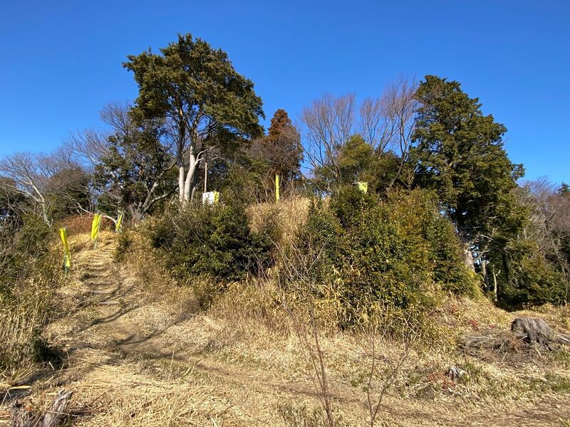 File:MikawaYamanakajouMainBaileyFromBelow.jpg
