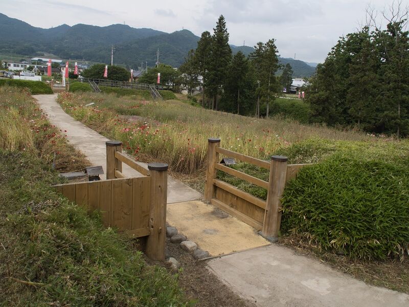 File:Nagurumi20.jpg
