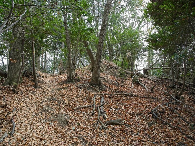 File:Nakaokyoto19.jpg