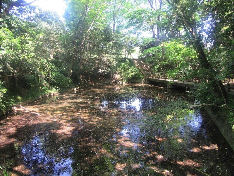 File:Ohkusa5.jpg