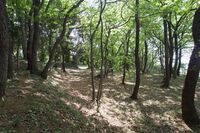 Osakaibaraki25.jpg