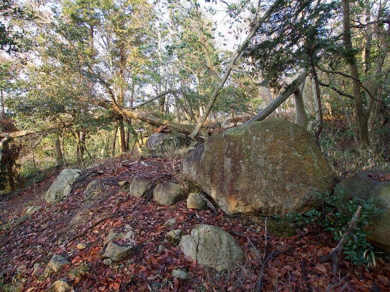 File:Sasou1.jpg
