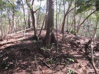 Takiwakijou (10).jpg