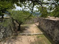 Tsuyama28.jpg