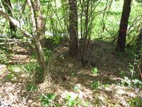 YanagizakaueToride (8).JPG