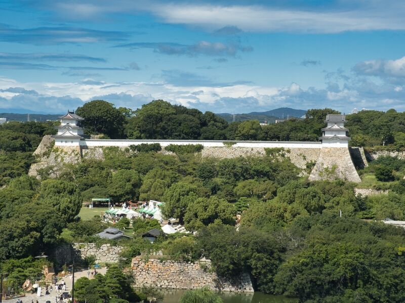 File:Akashipiole1.jpg