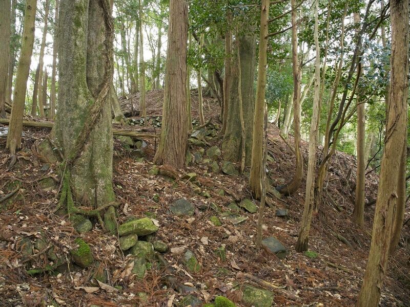 File:Goryu31.jpg