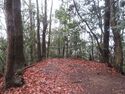 Hatsuzawajou (14).JPG