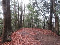 Hatsuzawajou (14).JPG