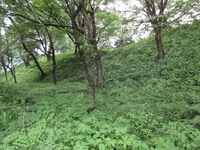 KaiKoyamajou (2).JPG