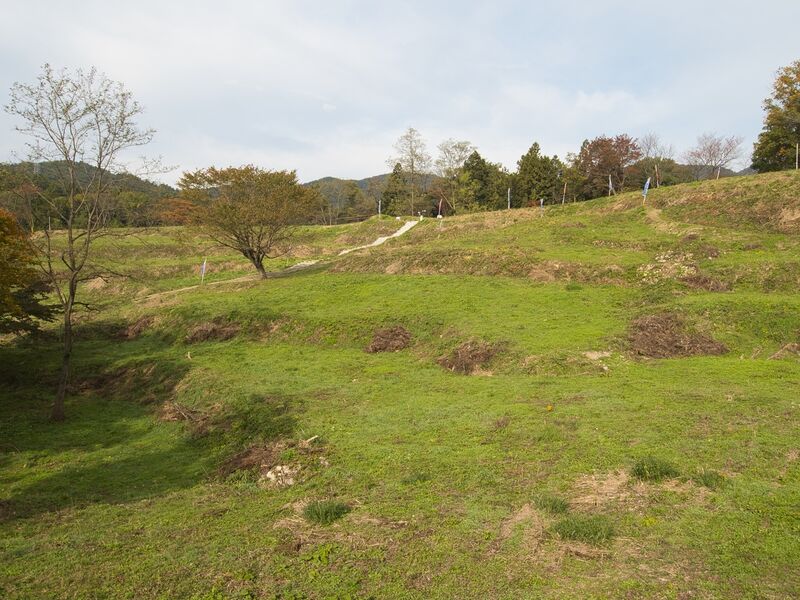 File:Koori7.jpg