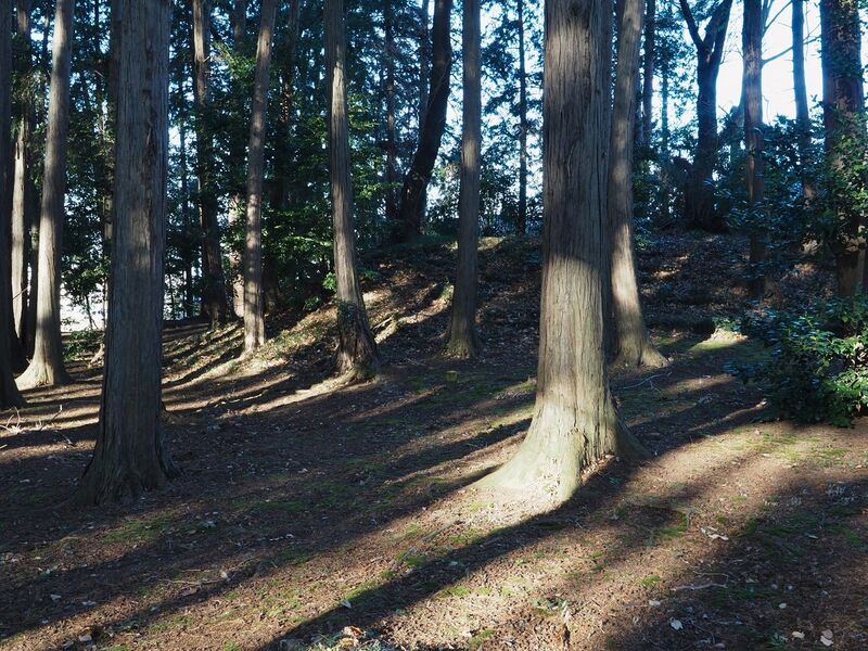 File:MinamotoTsunemoto17.jpg