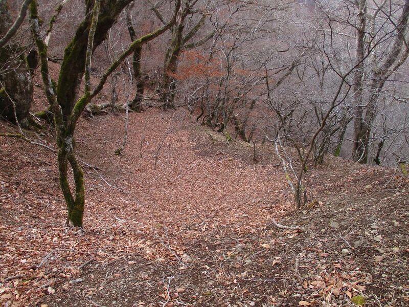 File:MisakajouB (17).jpg