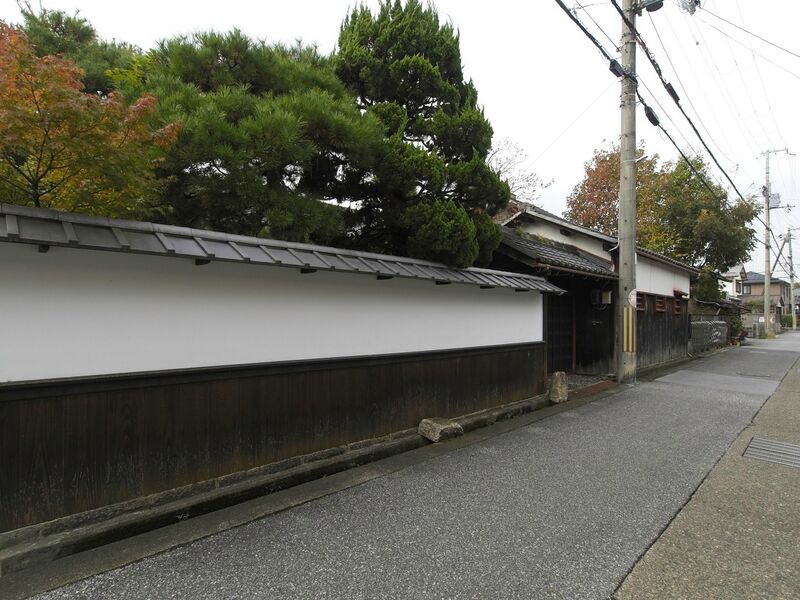 File:Ohmurahikone2.jpg