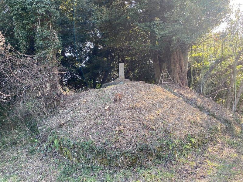 File:ShinshirojouChris (3).jpg