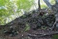 Thumbnail for version as of 13:31, 24 June 2017