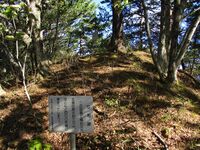 Takamatsuyakushijou03.JPG