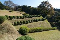 Yamanaka17.jpg