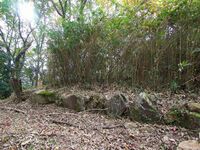 Akitakayama48.jpg