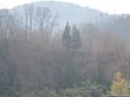 Thumbnail for version as of 04:44, 2 December 2020