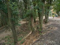 Eboshigata26.jpg