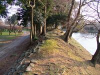 Hikone93.jpg