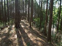 Hishakuyama34.jpg