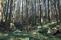 Karasuyama23.jpg