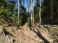 Kokashimoyama8.jpg
