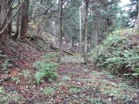 NechiKuriyamajou (3).JPG