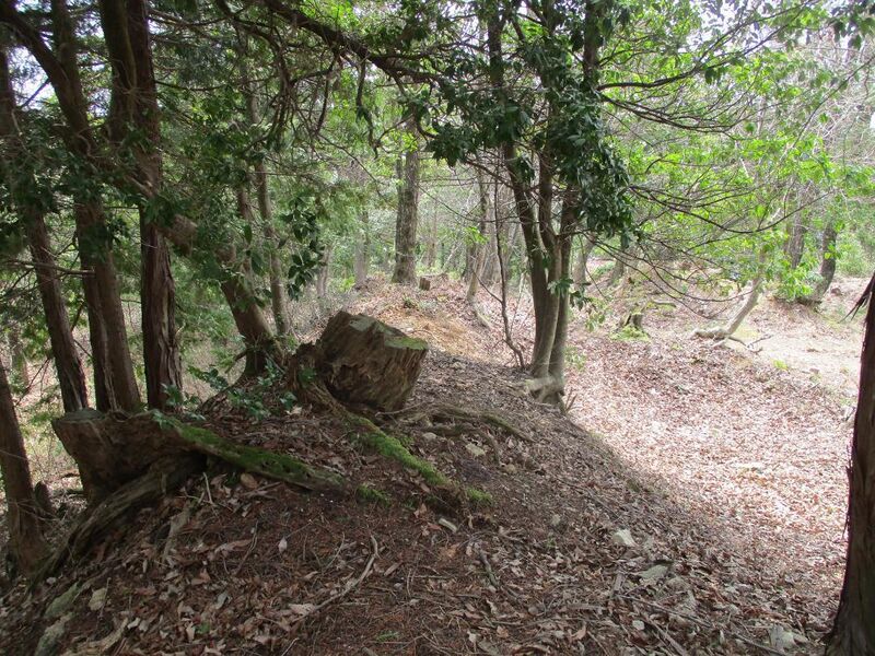 File:OdaniFukujuToride (14).jpg