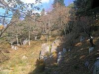 Uehara8.jpg