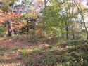 Wakatsukiyamajou (4).jpg