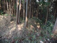 Chihayaskamiakasaka12.jpg