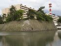 Fukui13.jpg