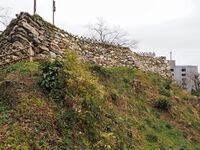 Hamamatsu33.jpg