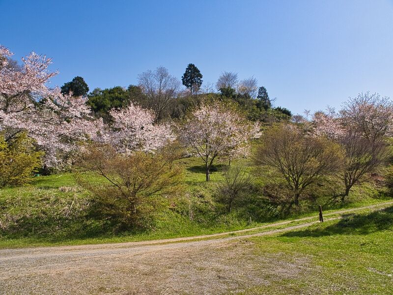File:Kanbayashi3.jpg