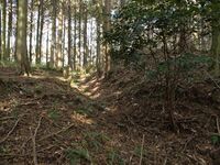 Koideyakatakyoto25.jpg